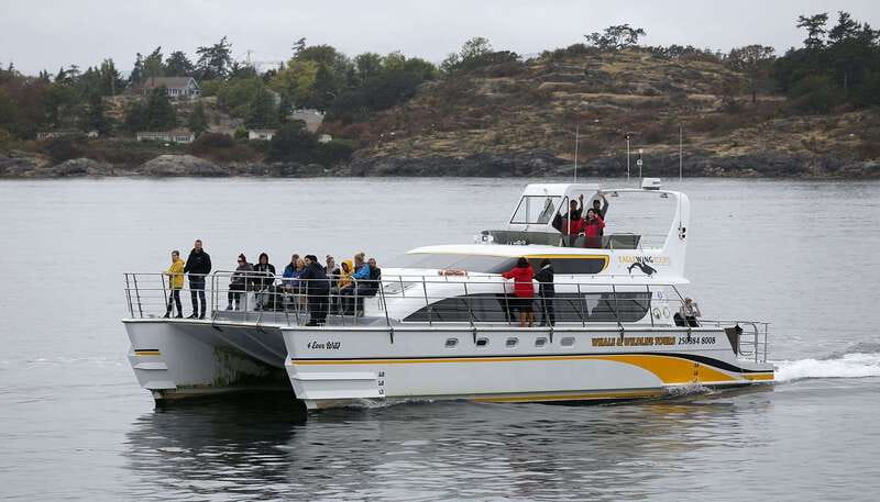 Victoria: Whale and Wildlife Semi-Covered Boating Tour - Is $136 a fair price?