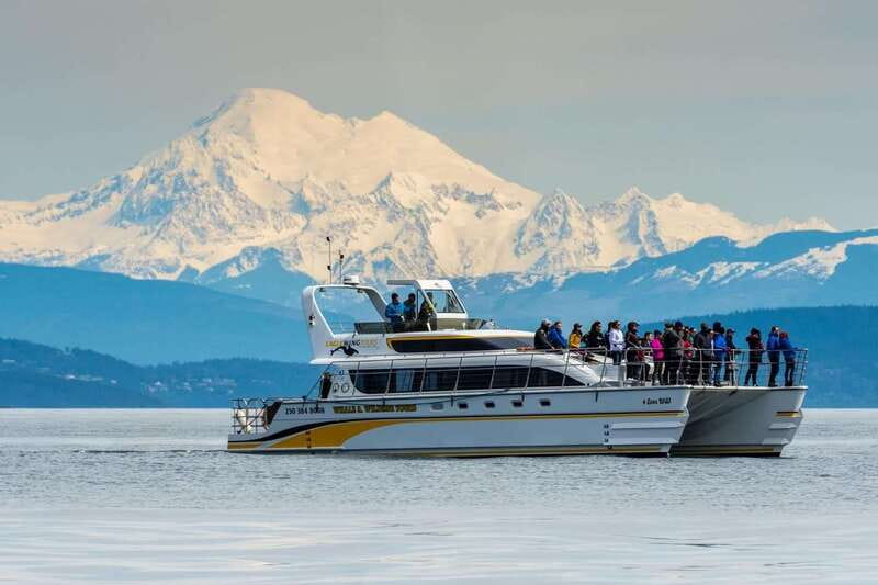 Victoria: Whale and Wildlife Semi-Covered Boating Tour - What four hours on the water feels like
