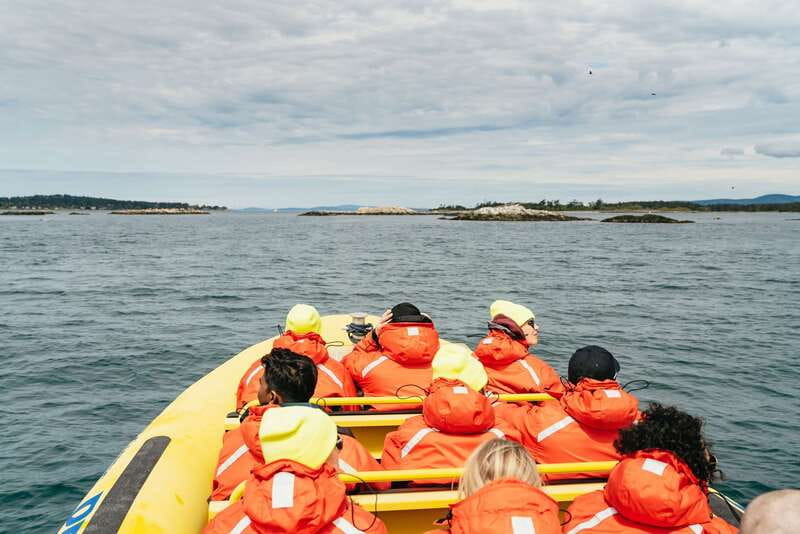 Victoria: Whale Watching Adventure in a Zodiac Boat - Searching the Salish Sea for whales