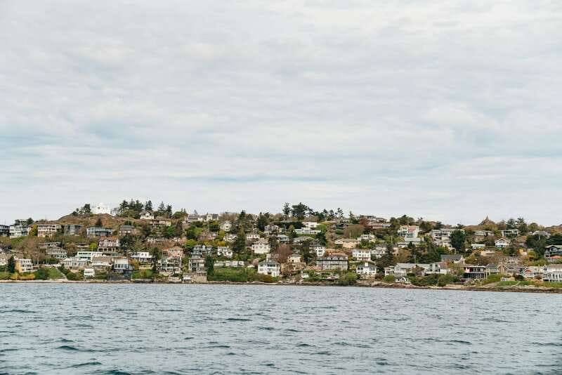 Victoria: Whale Watching Adventure in a Zodiac Boat - Who will enjoy this most