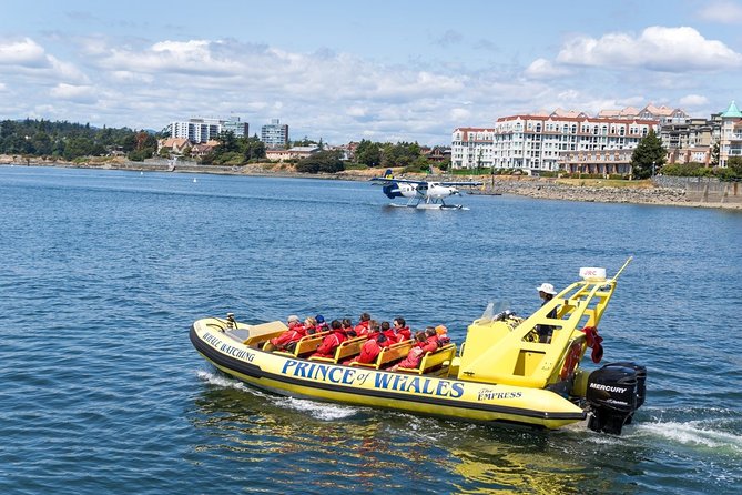 Victoria Zodiac Boat Whale Watching Adventure - Timing, weather, and practical planning