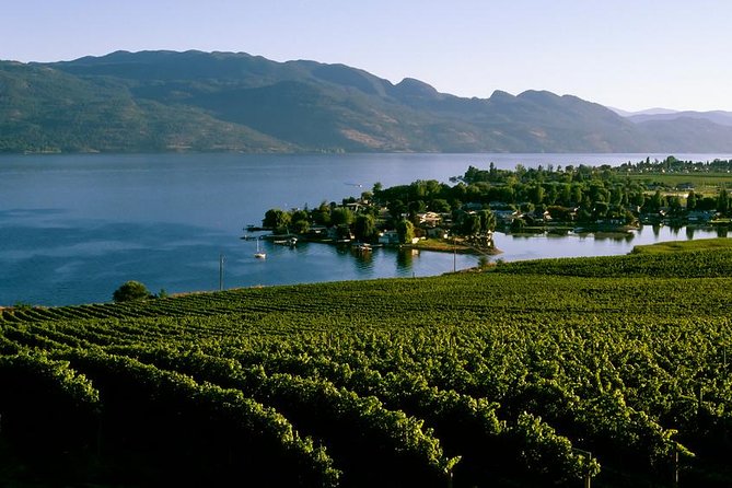 West Kelowna Wine Tour - Classic - 4 Wineries - Six useful things to know before you book