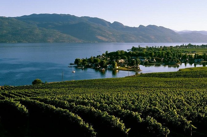 West Kelowna Wine Tour - Classic - 4 Wineries - Stop four possibilities: Frind Estate Winery