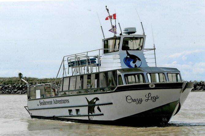 Whale Watching Adventure from Vancouver BC - Is the $184 price fair?