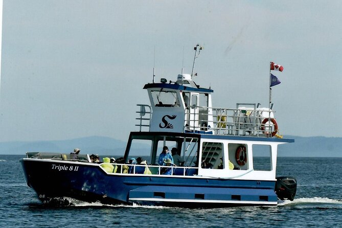 Whale Watching Adventure from Vancouver BC - Who will enjoy this four-hour outing?