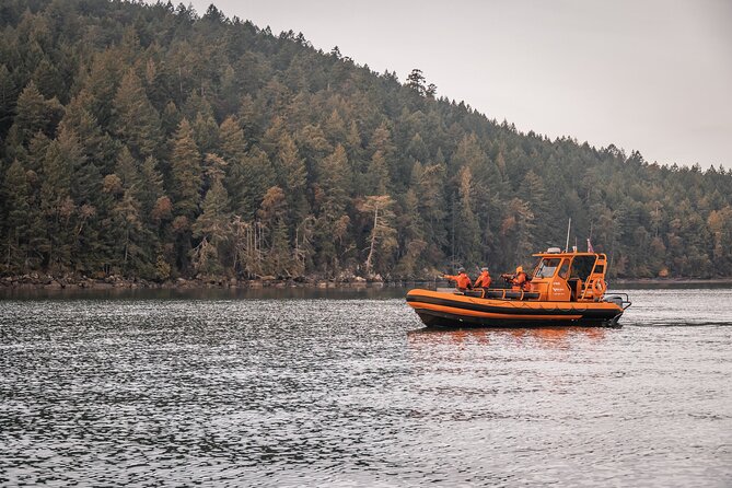 Whale Watching Nanaimo Open Boat Tour - Key things to know before you book