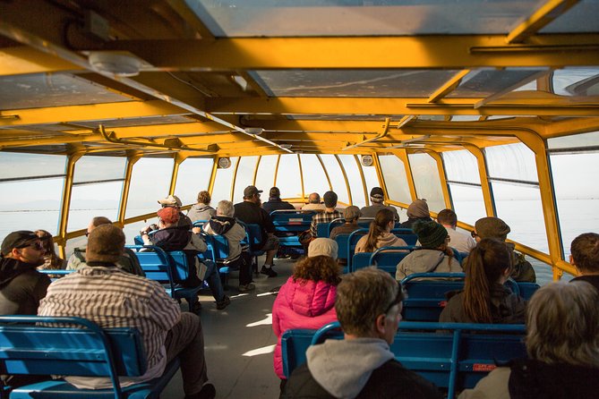 Whale-Watching Tour from Vancouver - Orcas, humpbacks, and the search for a sighting