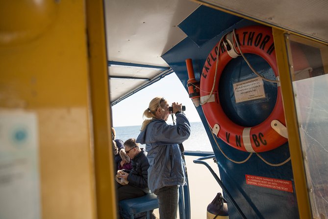 Whale-Watching Tour from Vancouver - The smaller animals often save the day