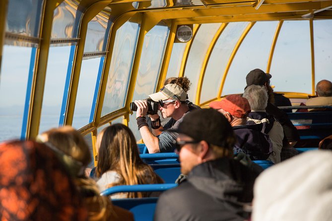 Whale-Watching Tour from Vancouver - The Steveston factor adds real value