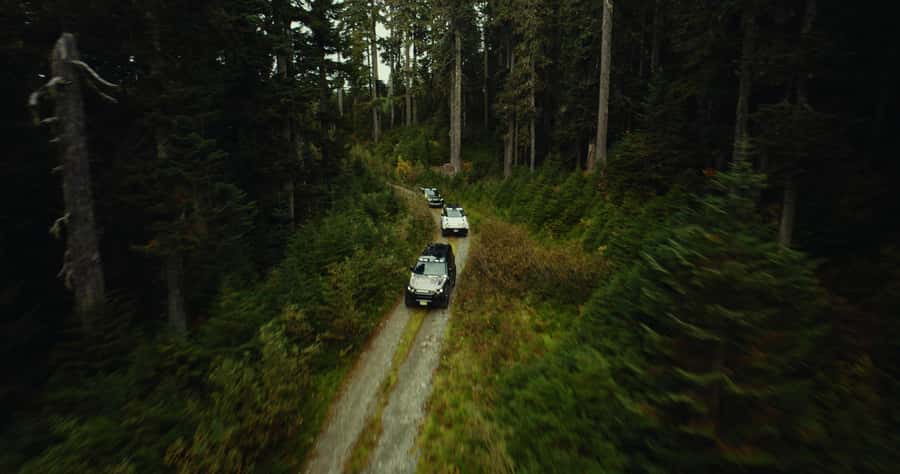 Whistler: Afternoon Bears Spotting Tour in Land Rover - Who Will Enjoy This Most?