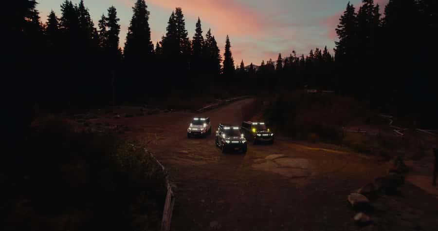 Whistler: Afternoon Bears Spotting Tour in Land Rover - How Bear Viewing Works in Practice