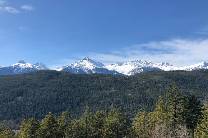 Whistler and Sea to Sky Gondola, a Fire and Ice Discovery Tour - Sea to Sky Gondola: the best timed stop