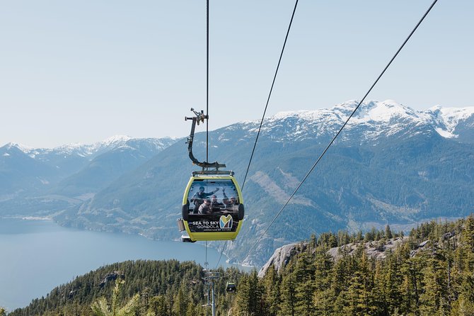 Whistler and Sea to Sky Gondola Tour + Shannon Falls - Shannon Falls and the 99-step viewpoint