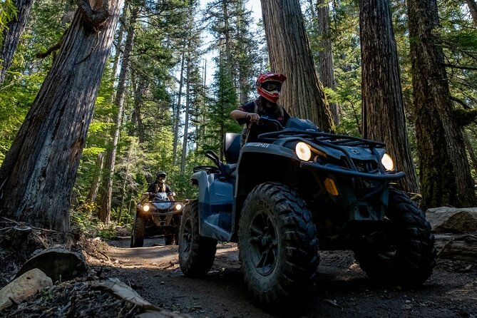 Whistler ATV Bushwhacker Tour - Is CA$223.68 a fair price?