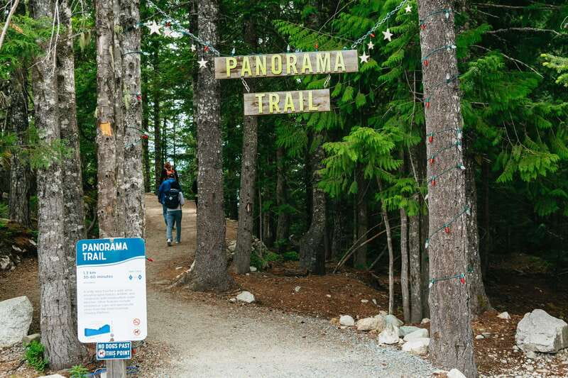 Whistler, Sea to Sky Gondola, and Shannon Falls Day Trip - Should you book it?