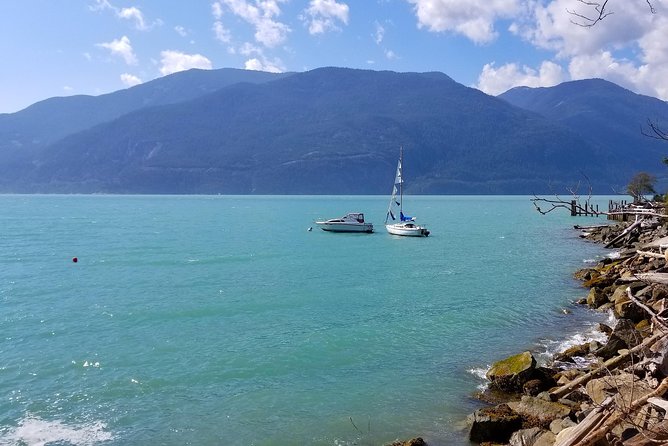 Whistler Sightseeing Tour from Vancouver: See Horseshoe Bay and Shannon Falls - Watch for bald eagles along the route