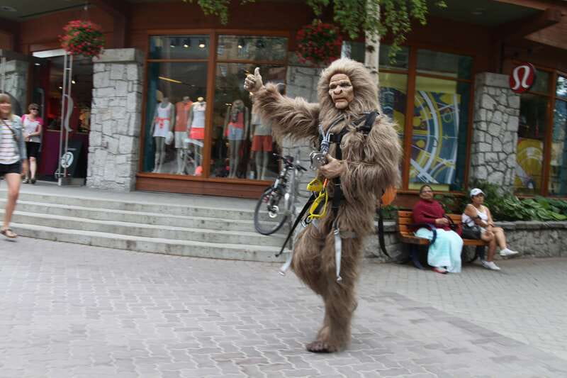 Whistler: The Longest Zipline in North America - Fitzsimmons Valley is the reward after the launch