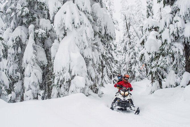 Whistler Wilderness Run Snowmobile Tour - How group size affects the pace