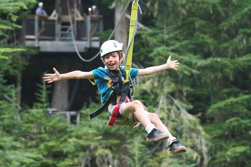 Whistler Zipline Experience: Ziptrek Bear Tour - Key points at a glance