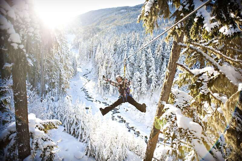 Whistler Zipline Experience: Ziptrek Bear Tour - Is $115 a fair price?