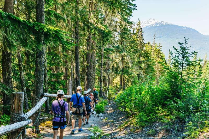 Whistler: Ziplining Experience - Key points to know before you book