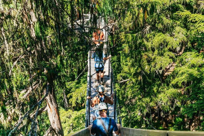 Whistler: Ziplining Experience - Who should book this Whistler zipline tour?