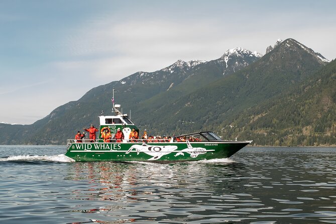 Wild Whale Watching Experience - Open Air Vessel - Five things to know before you book