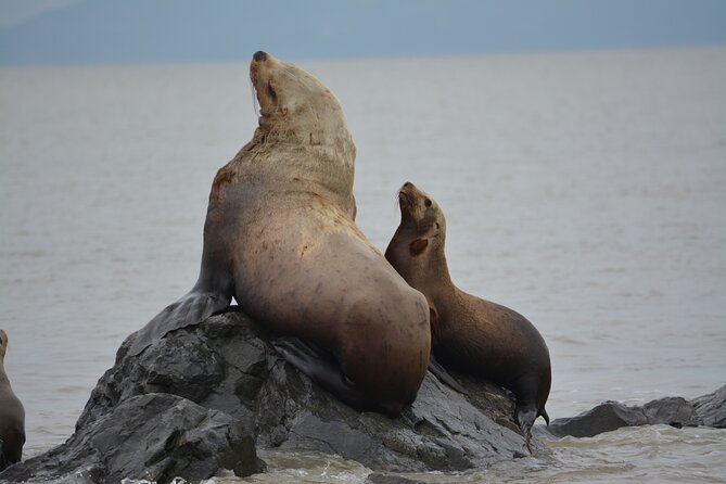 Wild Whale Watching Experience - Open Air Vessel - Staying comfortable on an open boat