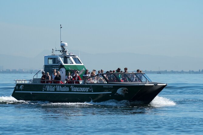 Wild Whale Watching Experience - Open Air Vessel - When the whale appears