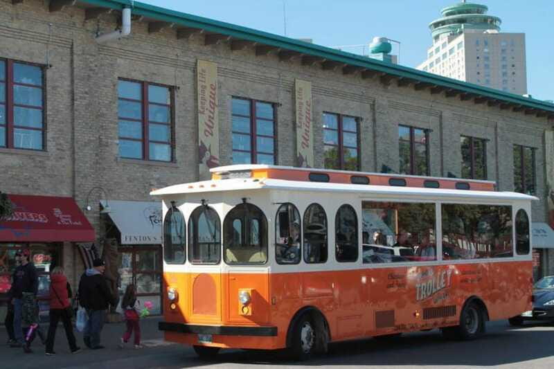 Winnipeg: 2-Hour City Trolley Tour - The Back Alley Arctic Outdoor Art Gallery