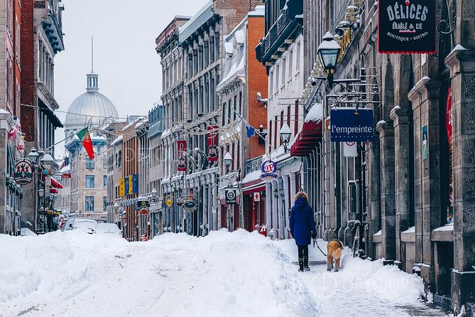 Winter Express: Old Montreal Highlights Walking Tour - Is $24.78 a fair price?