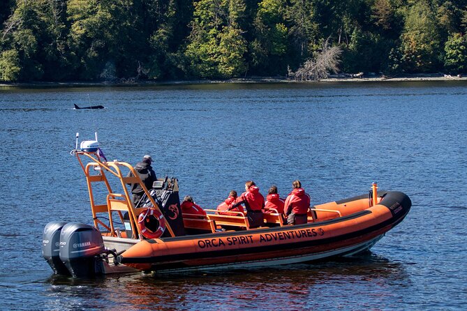 Winter Victoria Whale and Wildlife Zodiac Tour - Hearing the ocean through a hydrophone
