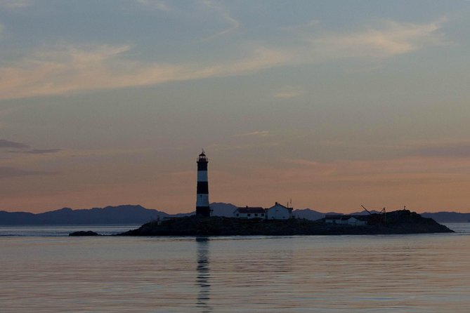 Winter Victoria Whale and Wildlife Zodiac Tour - The value of the $129.32 price