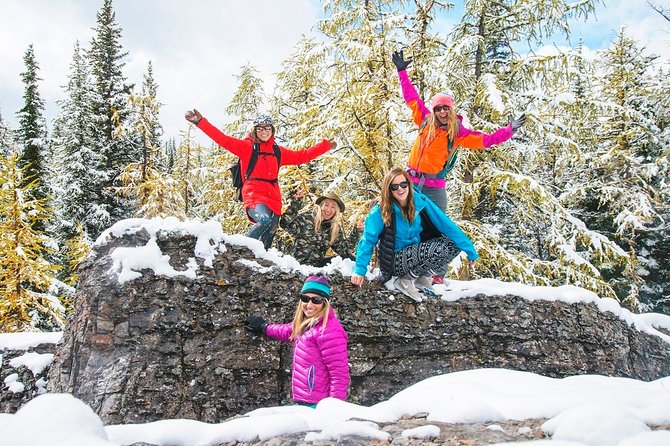 Winter Wildlife Discovery Tour - Maligne Valley, Maligne Lake, and the Karst system