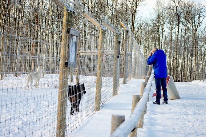 Yamnuska Wolfdog Sanctuary Walk Ticket in Canada - How much time and money should you allow?