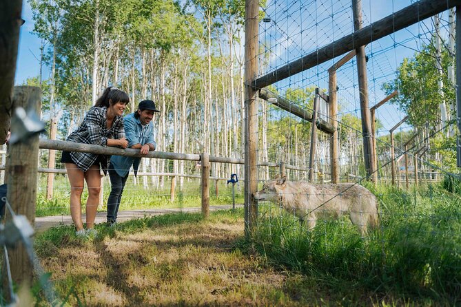 Yamnuska Wolfdog Sanctuary Walk Ticket in Canada - Getting the most from the Rocky Mountain setting