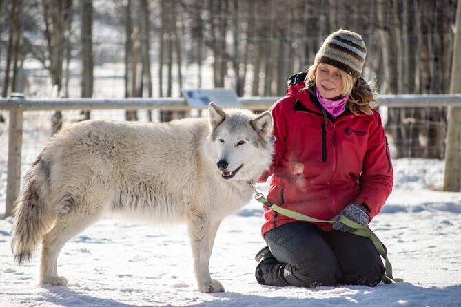 Yamnuska Wolfdog Sanctuary Walk Ticket in Canada - Who will enjoy this sanctuary most?