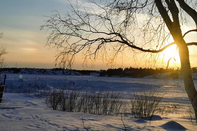 Yellowknife City Tour + Nature's North Wildlife Gallery - Yellowknife Visitor Centre: a small stop with practical rewards
