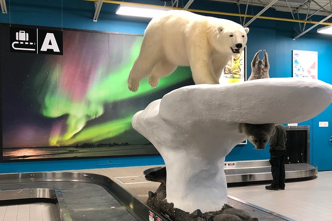 Yellowknife City Tour + Nature's North Wildlife Gallery - Downtown, Old Town, and Uptown explained