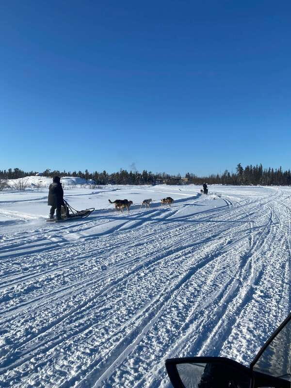 Yellowknife: Dog Sledding Tour - Leaving Yellowknife in a climate-controlled van