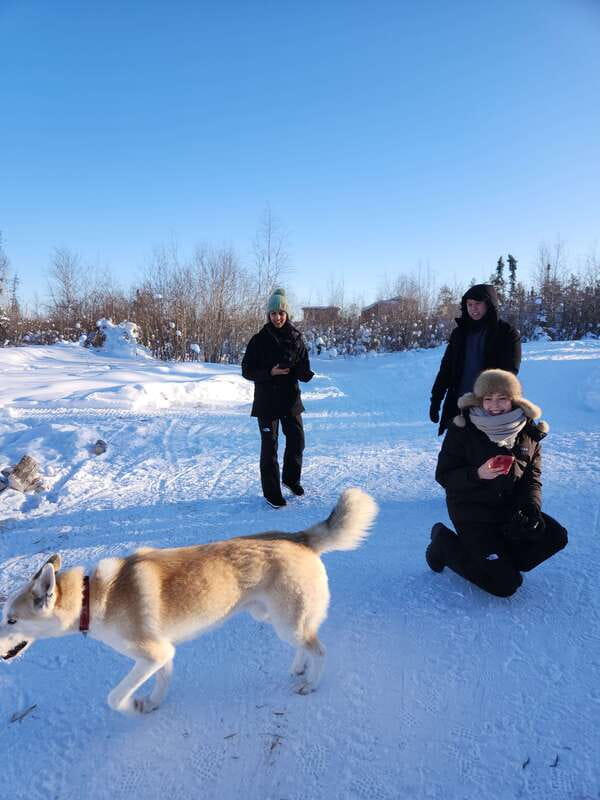 Yellowknife: Dog Sledding Tour - Rushing beneath frost-covered trees