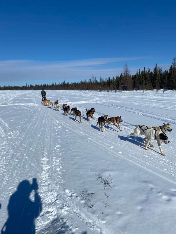 Yellowknife: Dog Sledding Tour - Why the small group matters