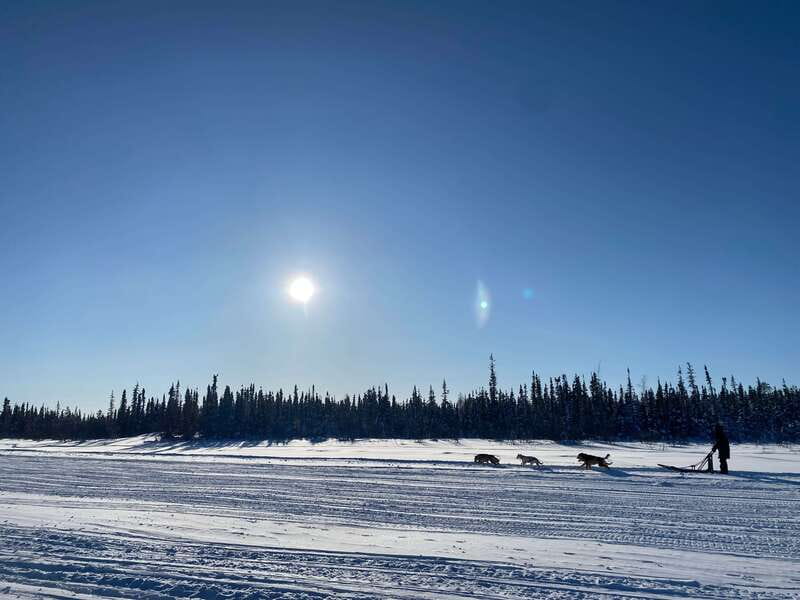 Yellowknife: Dog Sledding Tour - Is $106 a fair price for one hour?