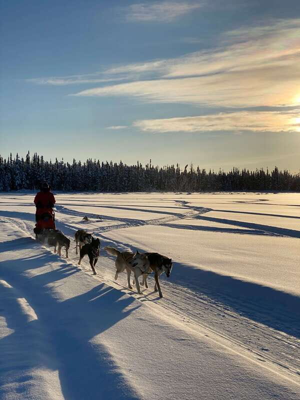 Yellowknife: Dog Sledding Tour - Weather, clothing, and comfort