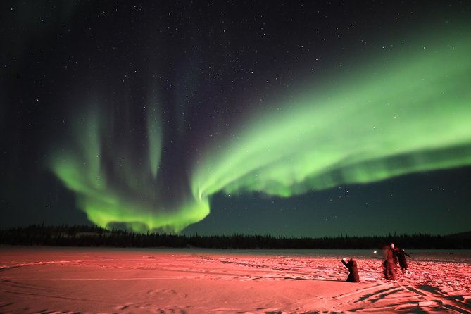 Yellowknife Tours - Aurora by bus - Key points at a glance