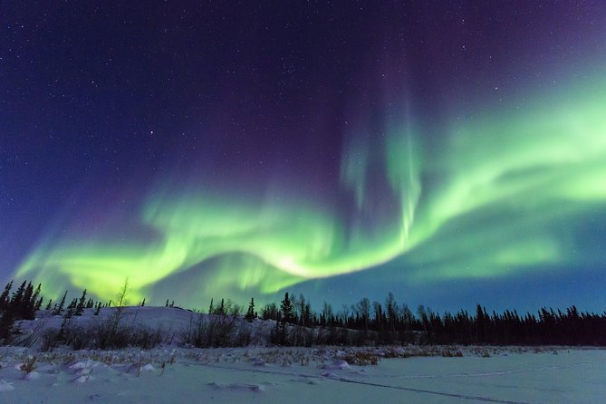 Yellowknife Tours - Aurora by bus - Guides make the biggest difference