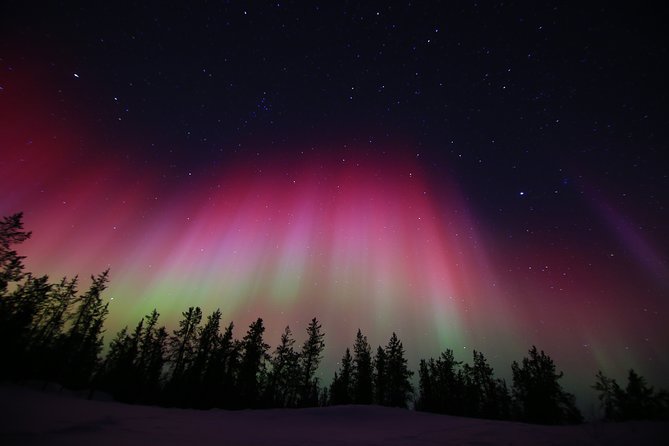 Yellowknife Tours - Aurora by bus - Pickup timing deserves careful attention