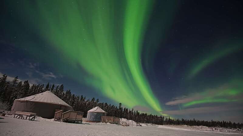 Yukon: Aurora Borealis Late Night Viewing Tour - Key points at a glance