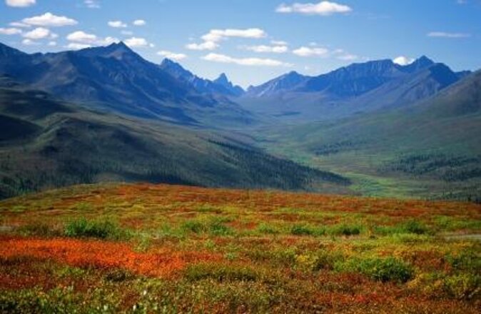 Yukon Aurora Viewing Package | 4 days - Day 1: airport pickup and your first late-night search