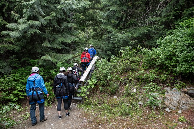 Zipline Adventure in Whistler - From Whistler Village to the forest course